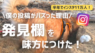 【ここからバズる】発見欄を味方につける!